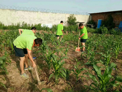 宁波特训学校组织学生到劳动基地体验农活